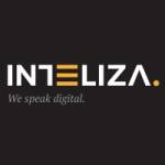 Inteliza Inc Profile Picture