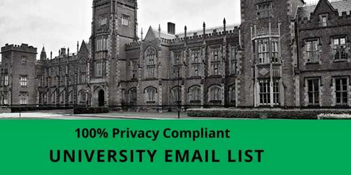 How is the University Emails List segmented?
